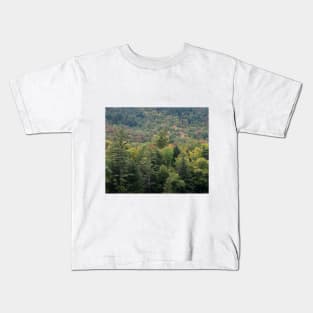 Autumn in the Adirondack Mountains!! Kids T-Shirt